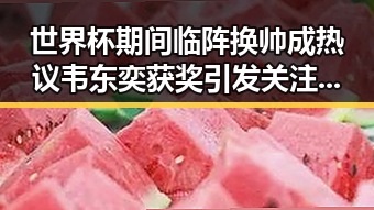 世界杯期间临阵换帅成热议 韦东奕获奖引发关注的反差变化