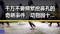 千万不要频繁挖鼻孔的奇葩事件，动物园十万元招人扮黑熊引发的反差大事件