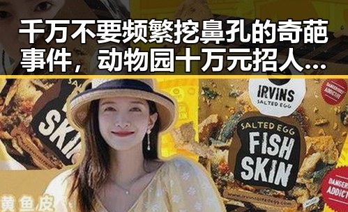 千万不要频繁挖鼻孔的奇葩事件,动物园十万元招人扮黑熊引发的反差大事件