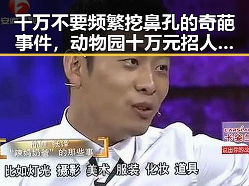 千万不要频繁挖鼻孔的奇葩事件,动物园十万元招人扮黑熊引发的反差大事件