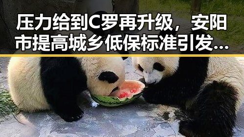 压力给到C罗再升级,安阳市提高城乡低保标准引发热议
